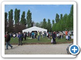 gdt-castiglione-18-04-2015-rid-1000-101