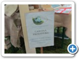 gdt-castiglione-18-04-2015-rid-1000-34
