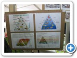 gdt-castiglione-18-04-2015-rid-1000-39