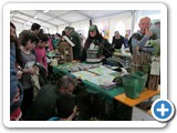 gdt-castiglione-18-04-2015-rid-1000-68