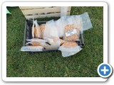 gdt2015-passariano-rid-1000-5831