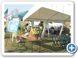 gma2015-ss-regione-lombardia-rid-2