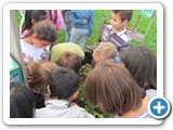 att--primaria-pomponazzo--8-10-2015-rid-1000-14